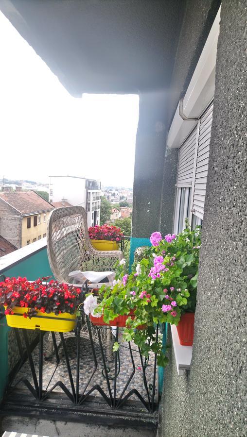 Garden Lägenhet Belgrad Exteriör bild
